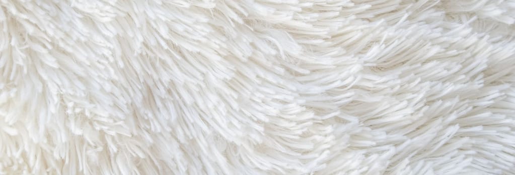 White and fluffy high pile carpet