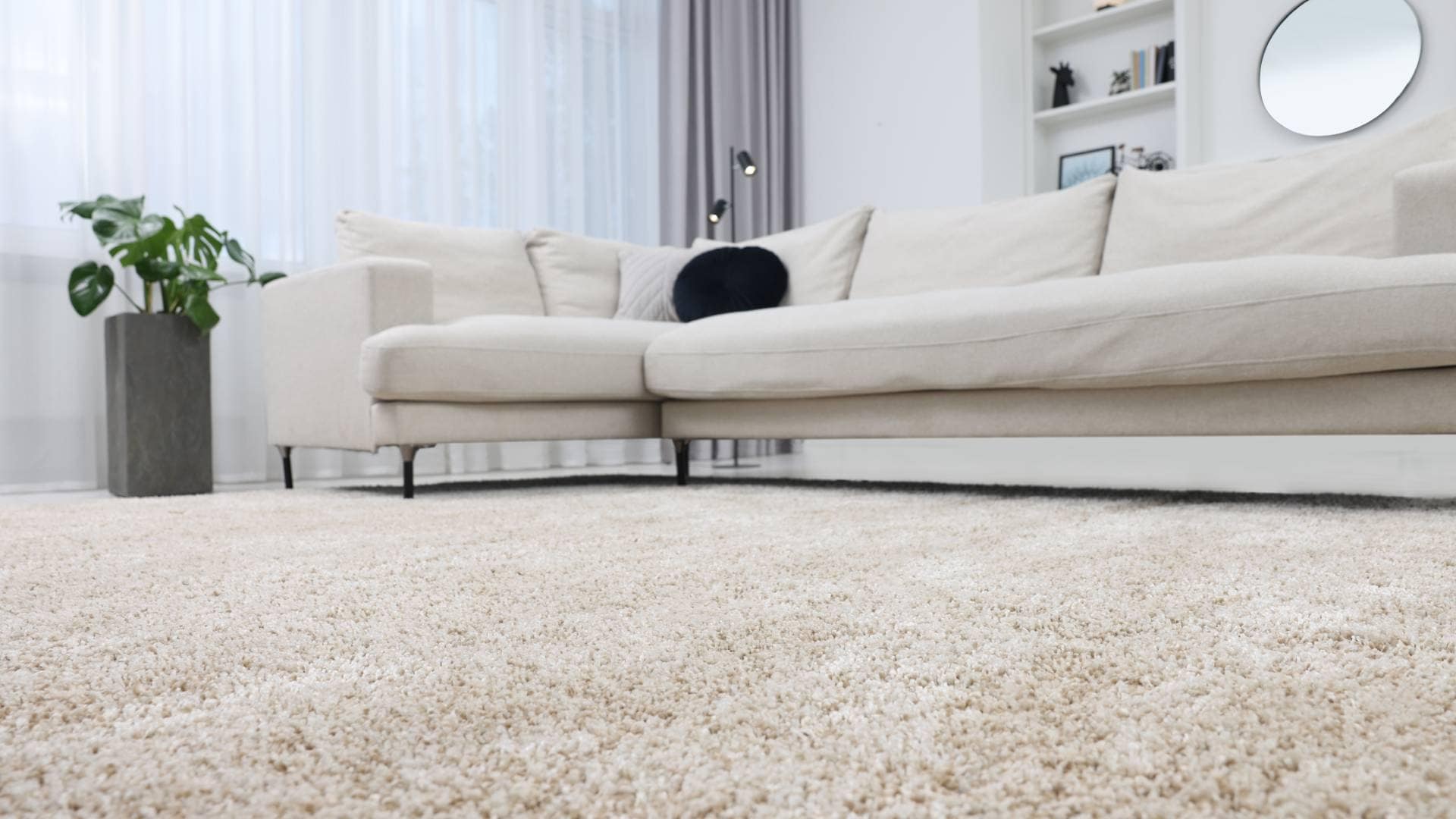 BudgetFriendly Flooring Solutions for Landlords on a Tight Budget