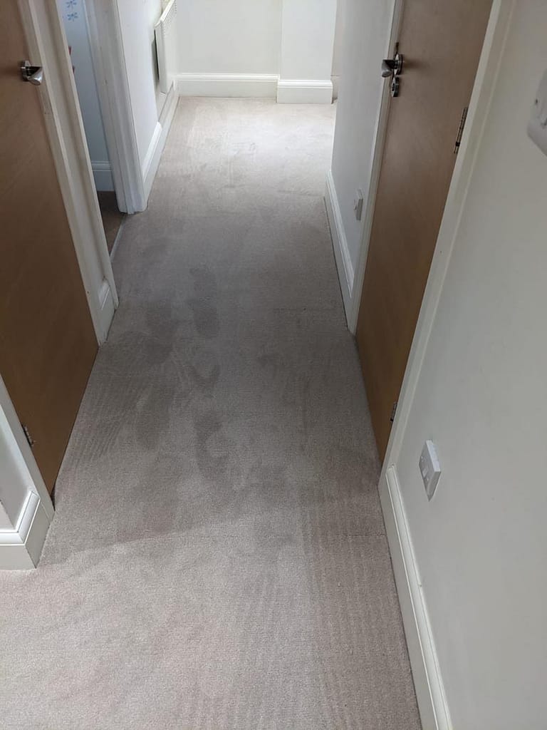 Flooring Southampton Carpet & Vinyl Supplied & Fitted Avellino Flooring