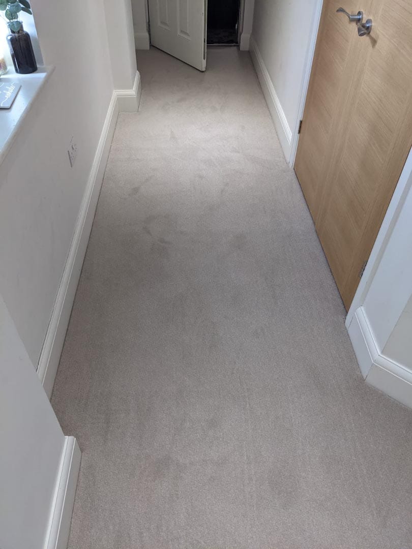 Carpet Fitters Southampton Experienced Team Avellino Flooring